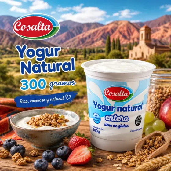 Yogur Natural 300 g
